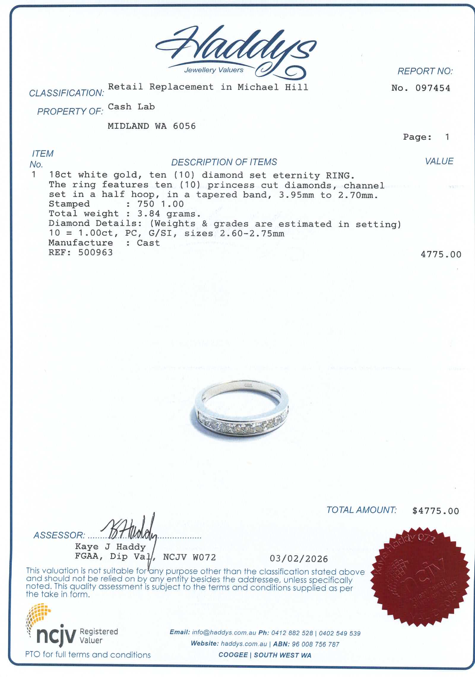 Ladies 18ct White Gold 10 Diamond Ring (Size N) - 500963