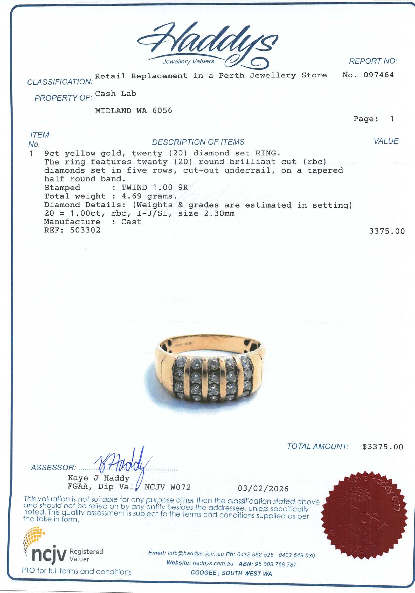 Men's 9ct Yellow Gold 20 Diamond Ring (Size U) - 503302