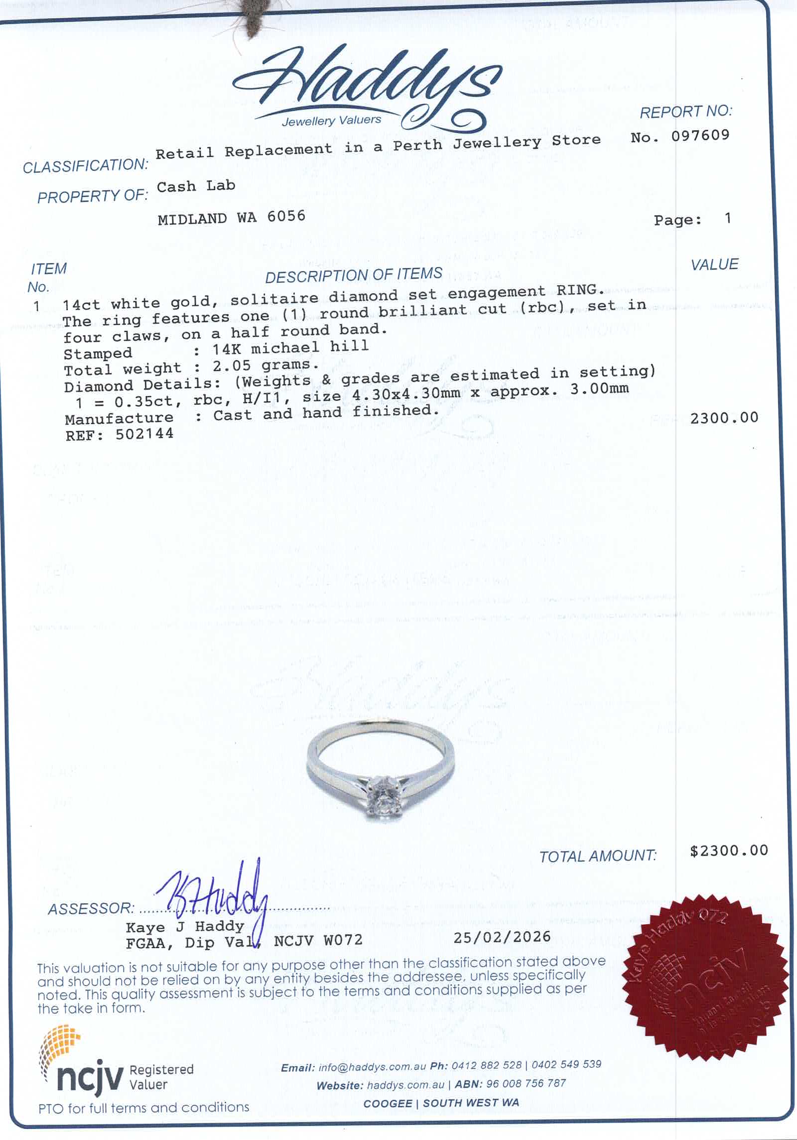 14ct/10ct White Gold Engagement Ring Set - 502144