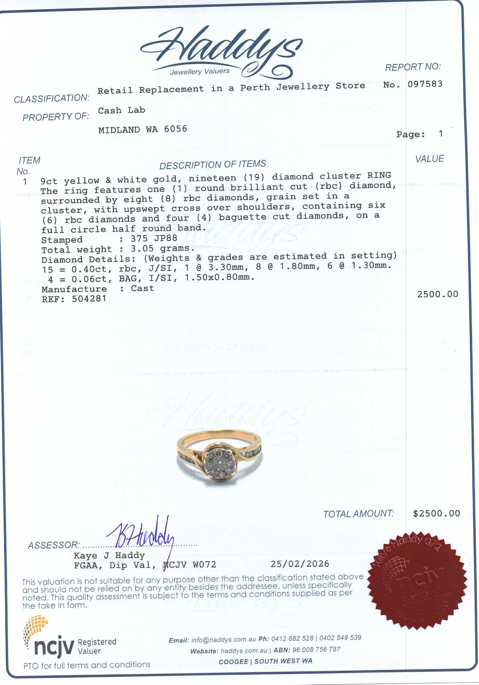 9ct Yellow & White Gold Diamond Cluster Ring (Size N 1/2) - 504281
