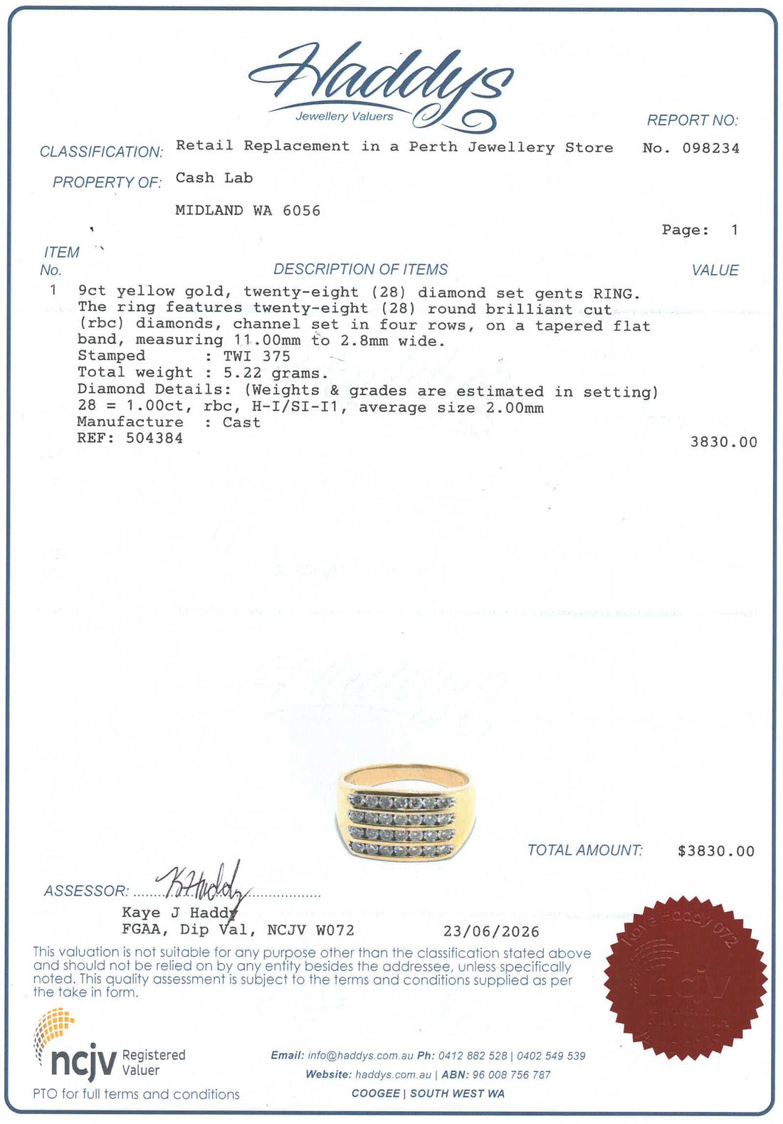 Mens 9ct Yellow Gold 28 Diamond Straight Set Dress Ring (Size Q) - 504384