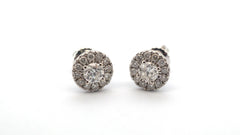 14ct White Gold Diamond Stud Earrings - 507848