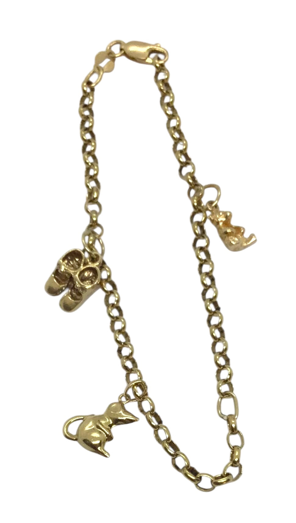 Ladies 9ct Yellow Gold Charm Bracelet (Length 20cm) Ref#507097
